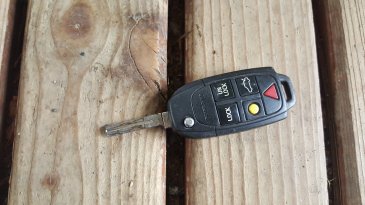 31253452